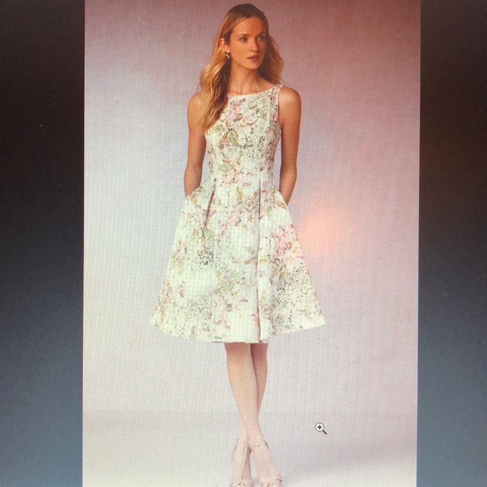 BHLHD special occasion dress by Adrianna Papell.